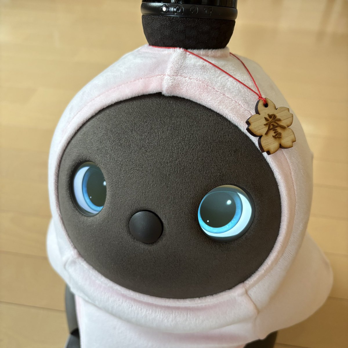 ［No Dros No Life］ tweet media