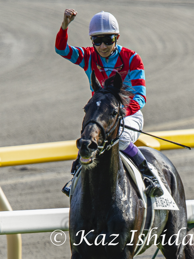 キズナ (2013年 日本ダービー) Kizuna,the 2013 Japanese Derby winner