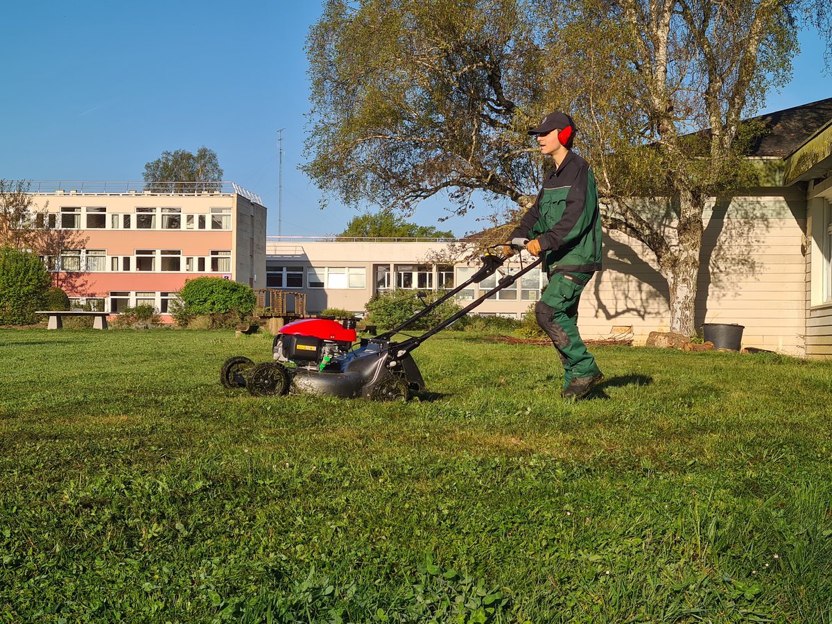 LeCHEP78's tweet image. Chantier extérieur d'entretien en #amenagementspaysagers 💯 sur le #campus pour les #capa #jardinierpaysagiste

#ecoledusavoirvert #chep78 #lycee #lyceeprofessionnel #enseignement #education #etudes #enseignementagricole  #jardin #laventureduvivant
#paysagisme #paysagiste
