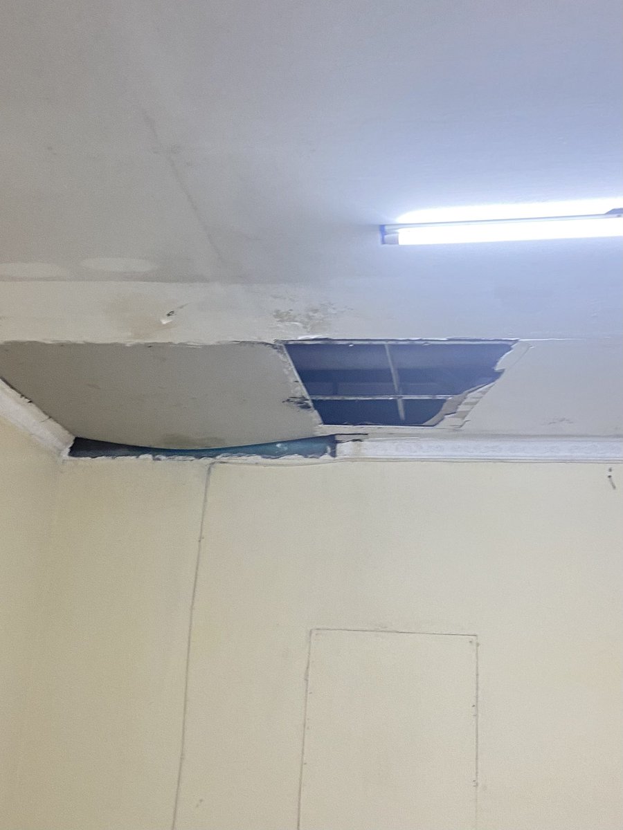 koko #lockin tweet media