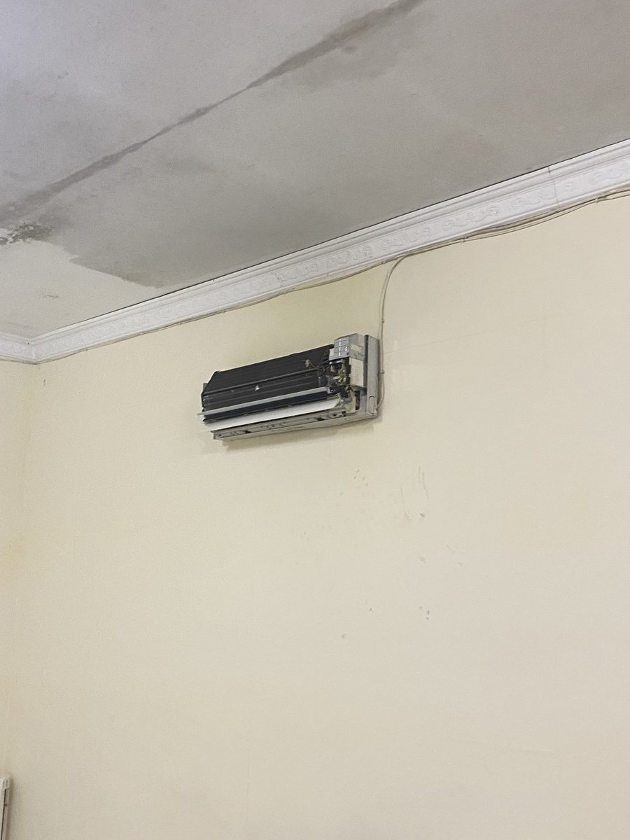 koko #lockin tweet media