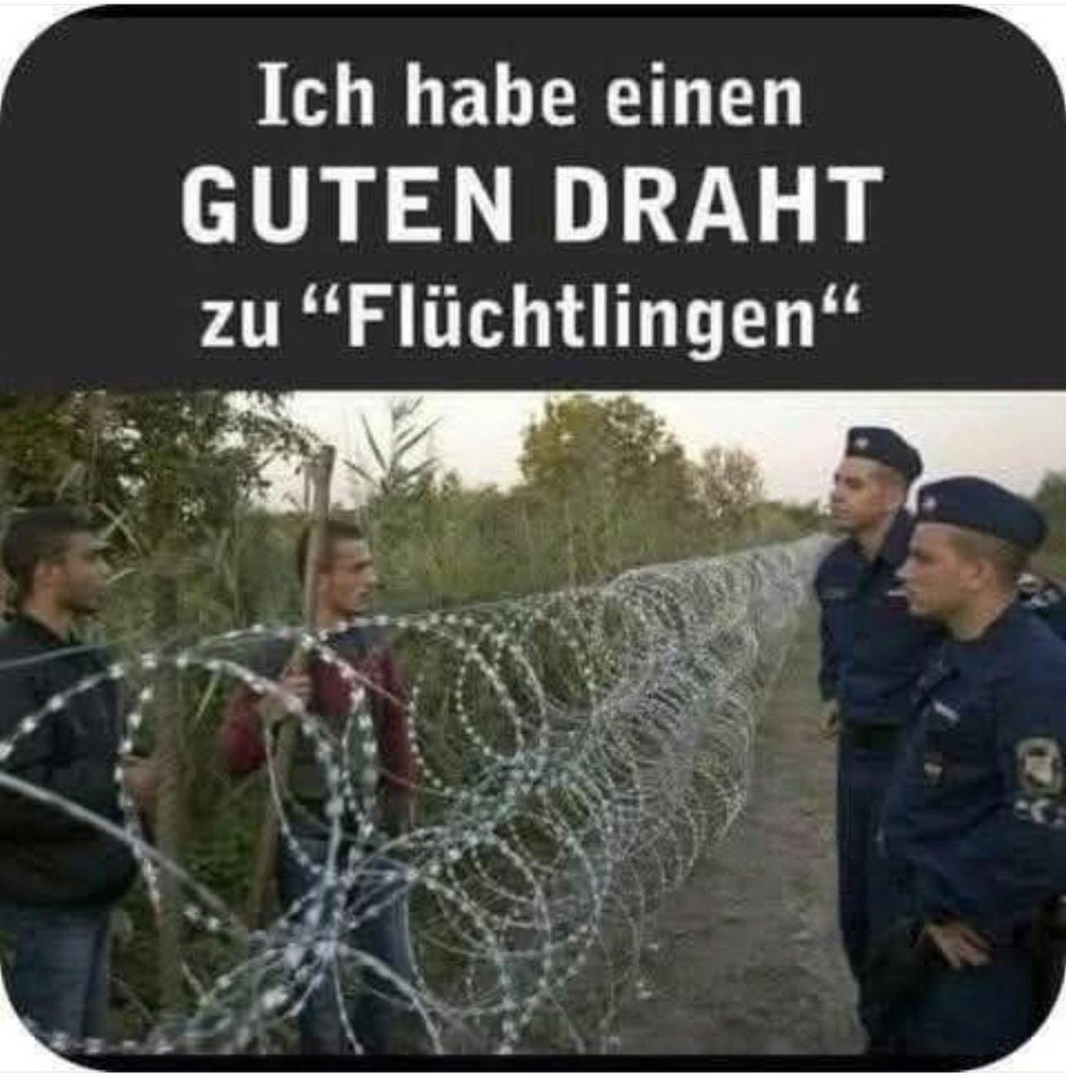 Bayern Gewissen tweet media