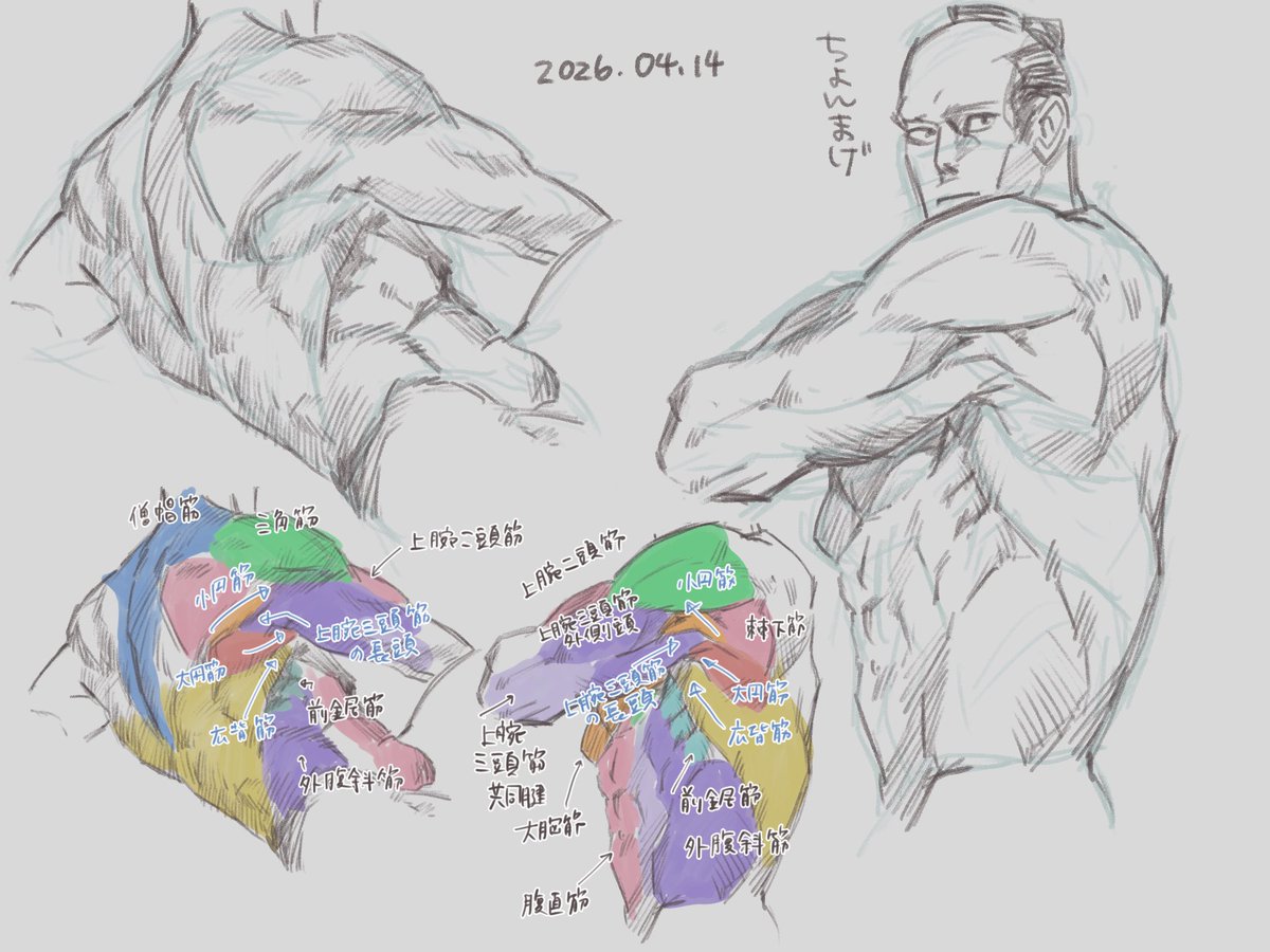 ほうじ茶 tweet media