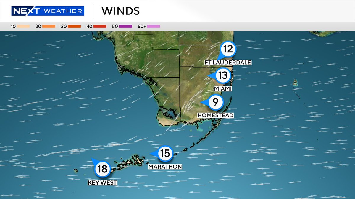 Lissette Gonzalez tweet media