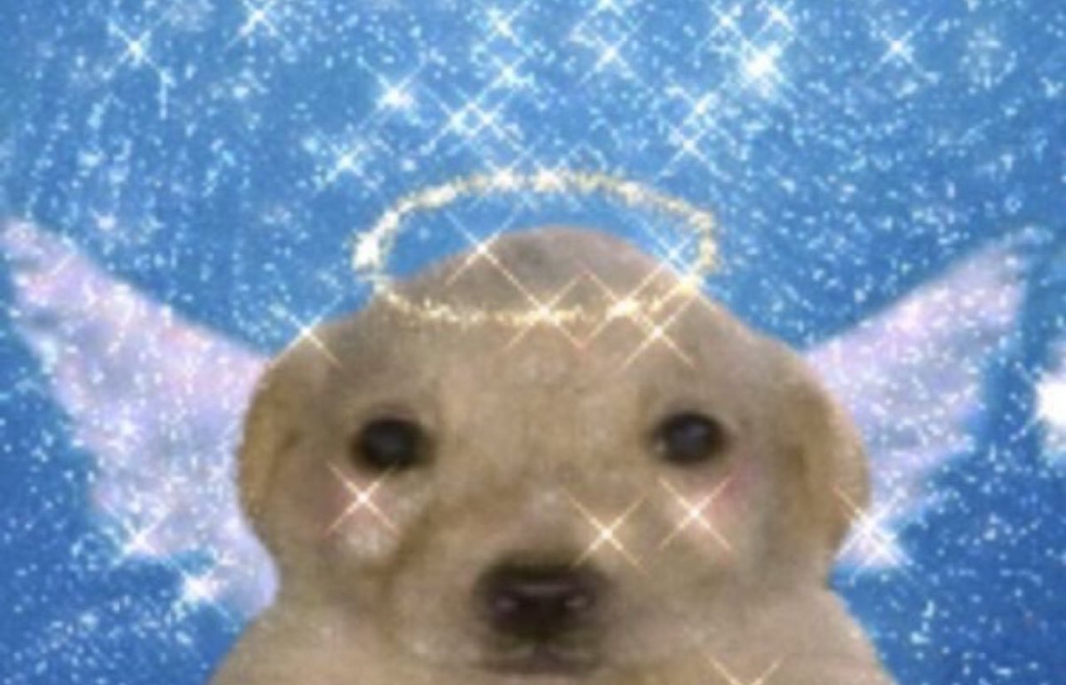 밍본︎ tweet media