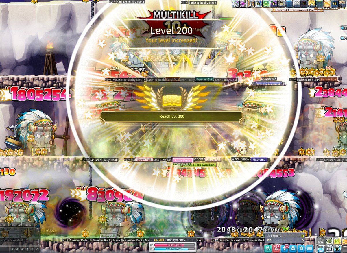 Crypto Fancy tweet media