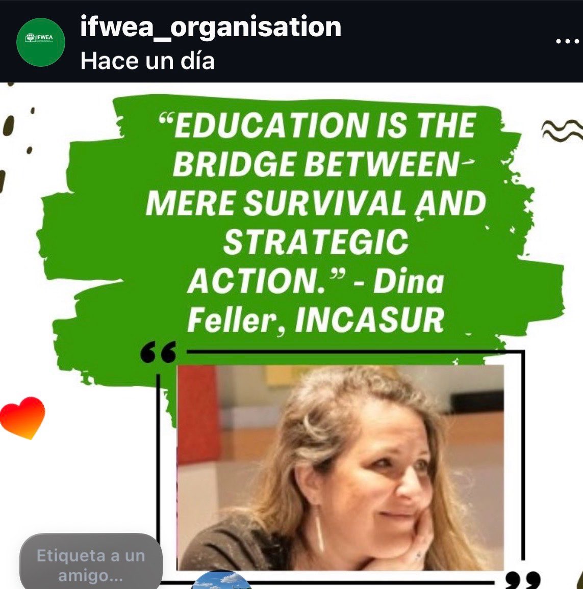 Dina Feller tweet media