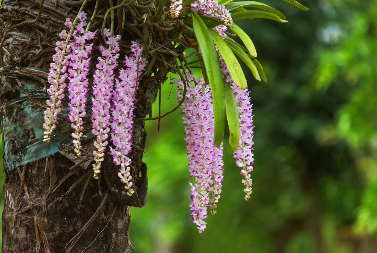 Vocational Teachers' Association of Assam NSQF tweet media