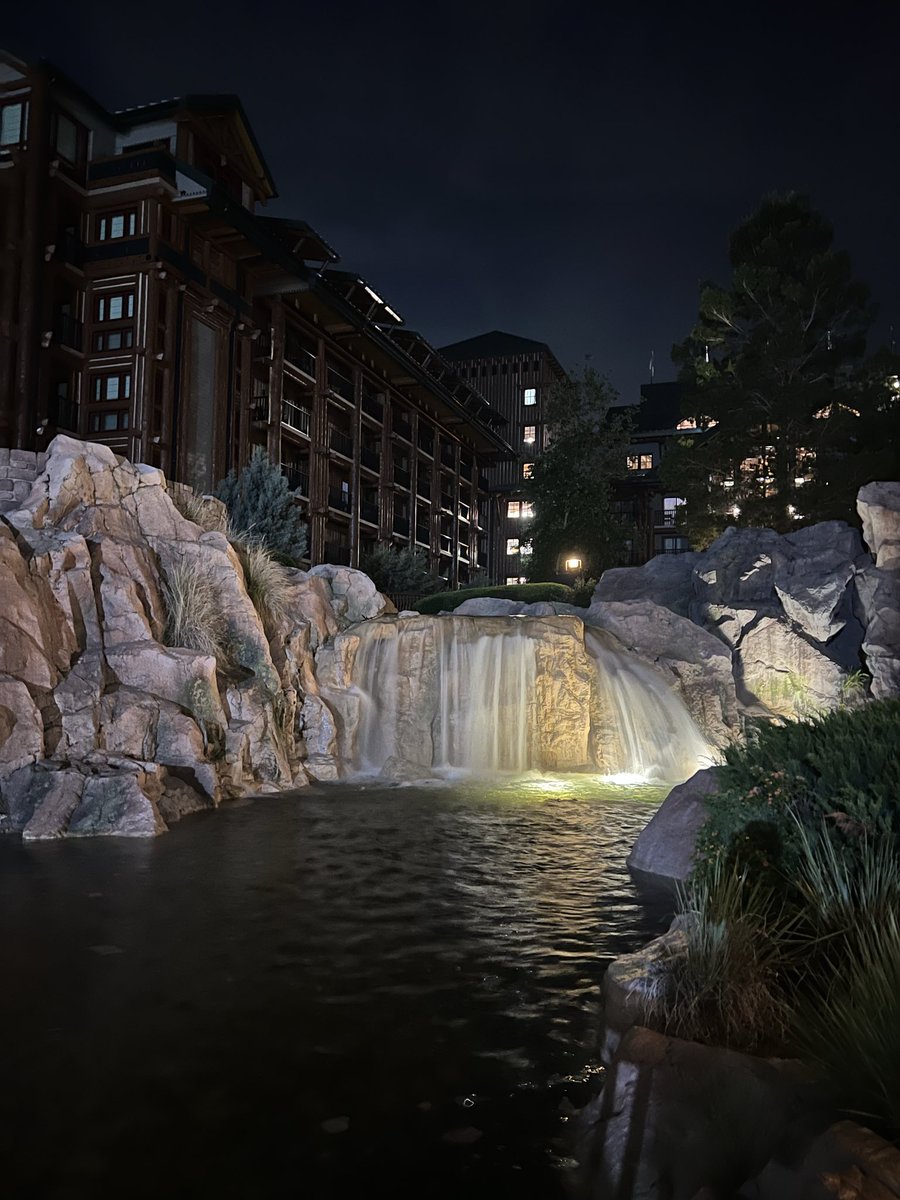 Bob Dankese tweet media