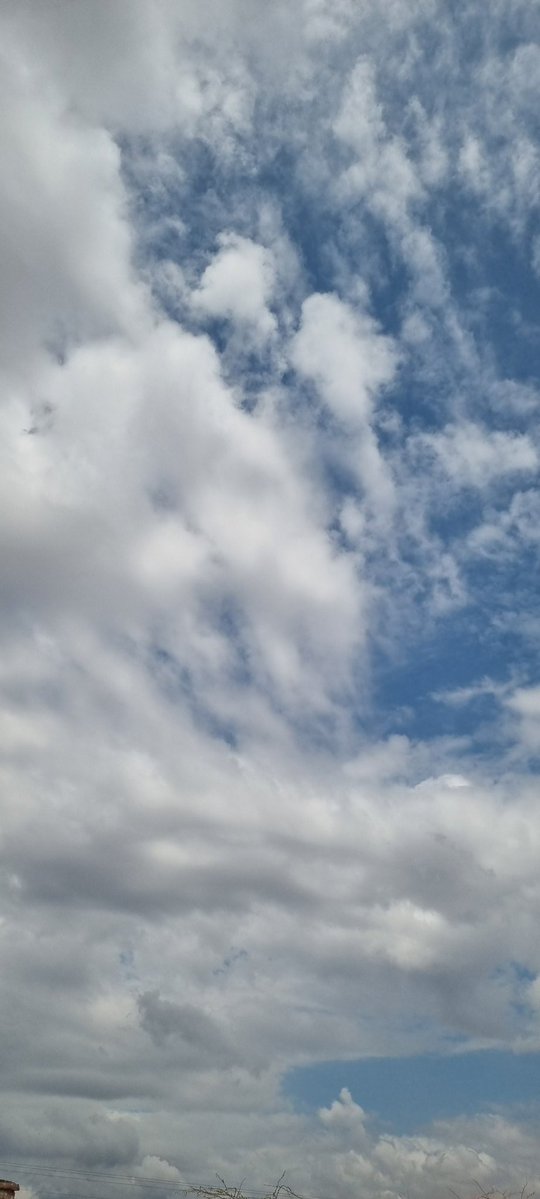 علي النجعي 🇸🇦 tweet media