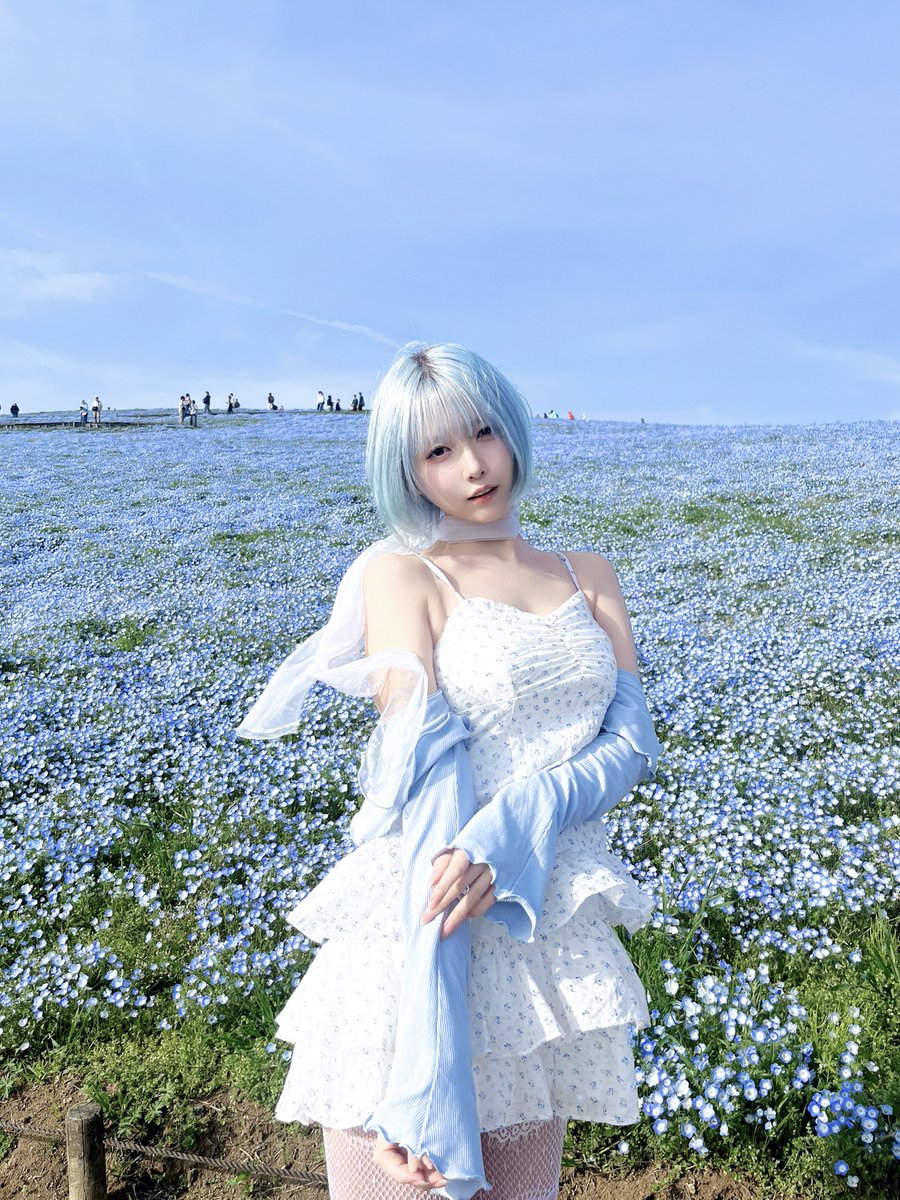 ねこぜ tweet media