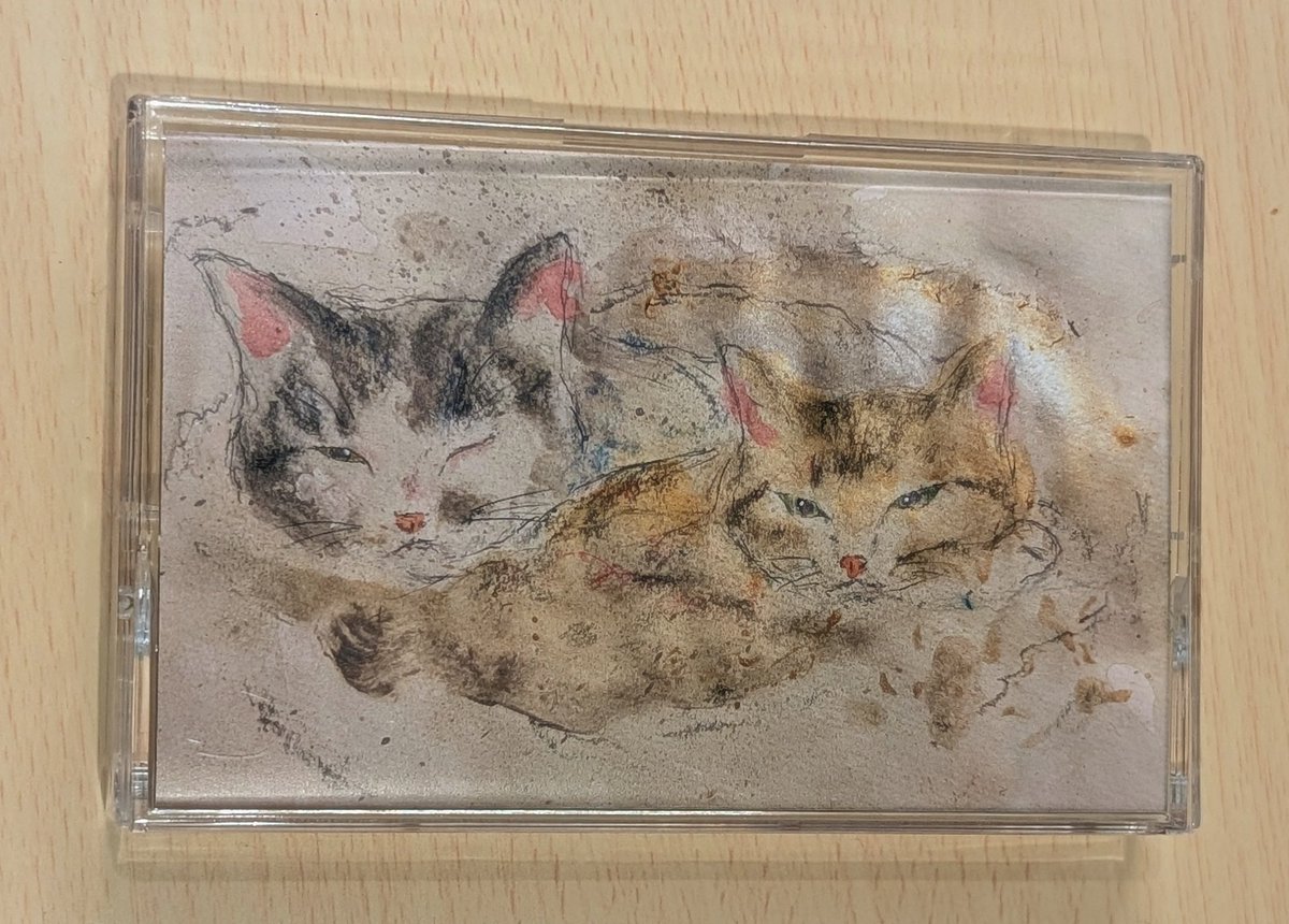 studio tissue★box tweet media