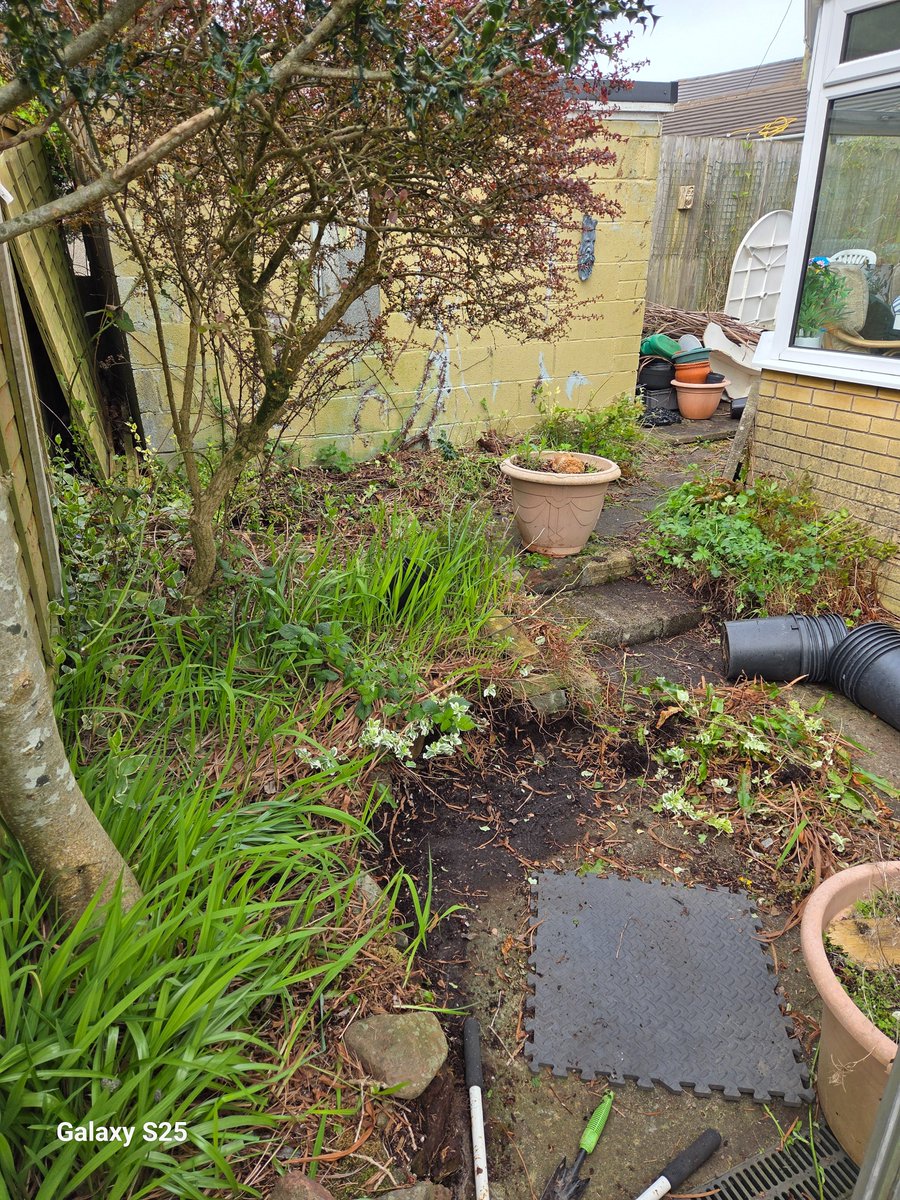 Steve Haywood tweet media