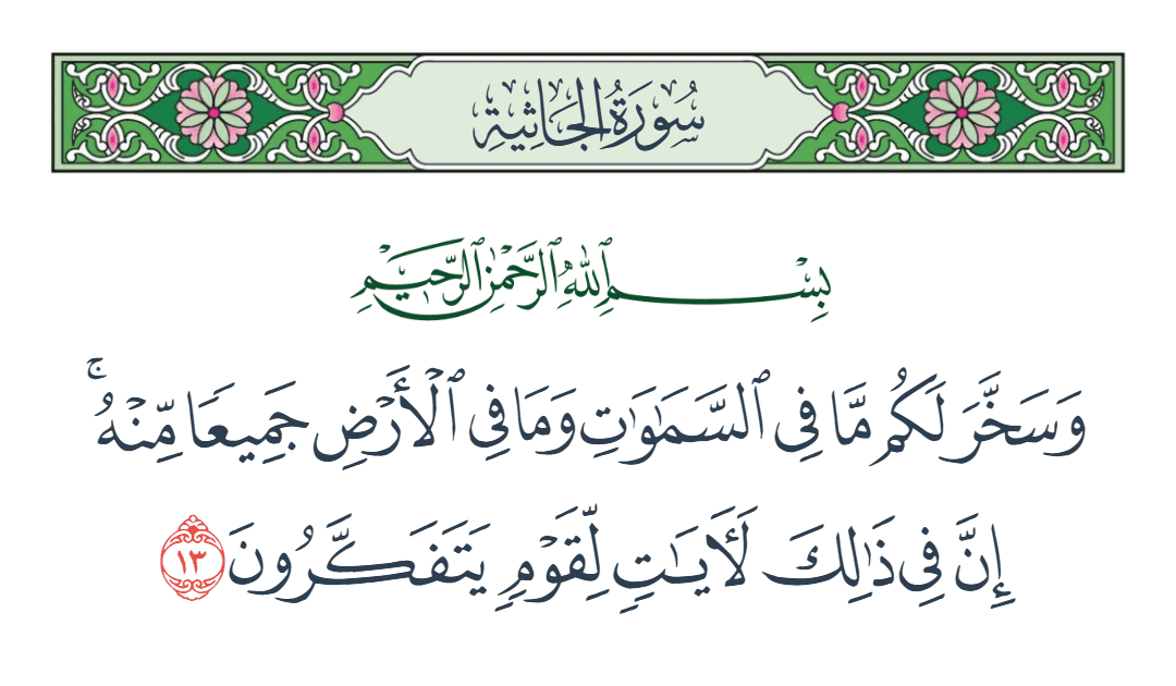 حافظ القيري Hafez Algiry tweet media