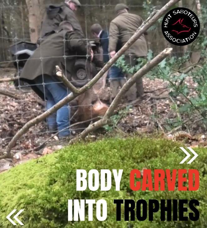 Hunt Saboteurs Association tweet media