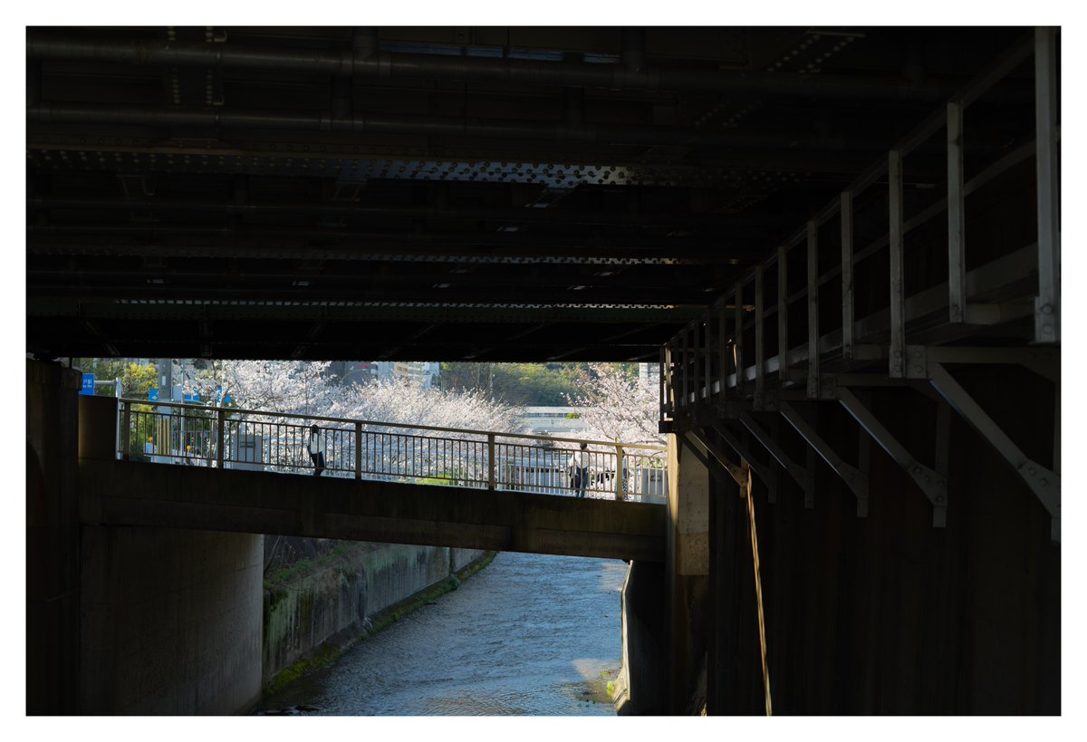 伊崎 (@utk_q) on Twitter photo 