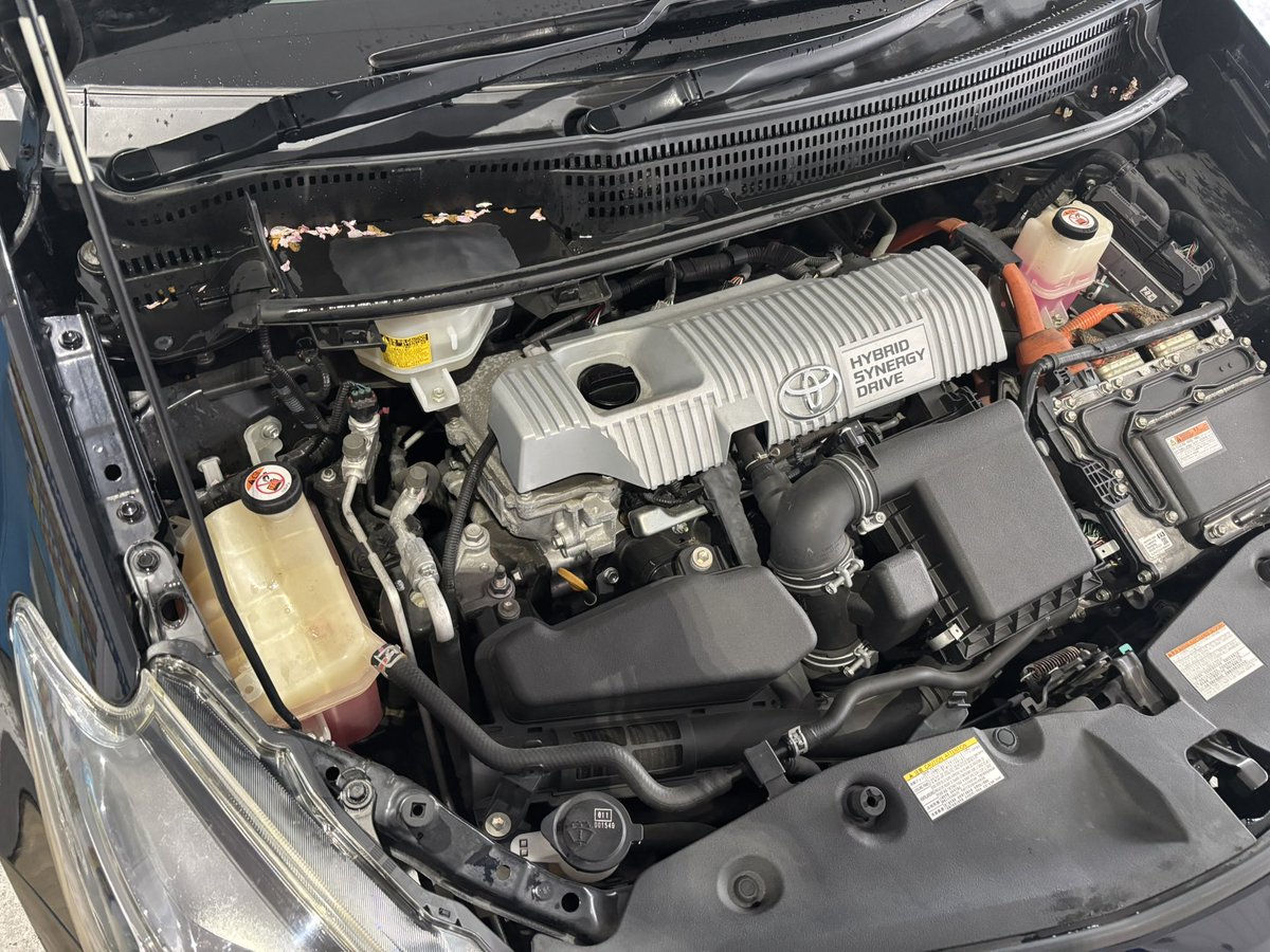 よーた tweet media