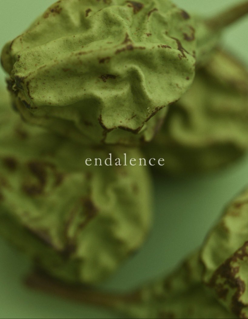 endalenceofficial tweet media