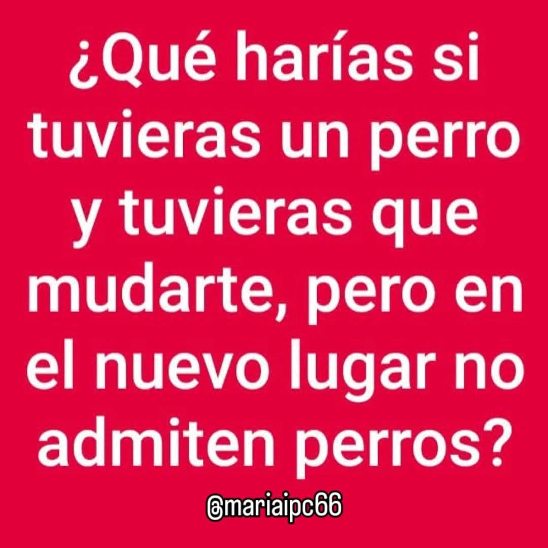 ๑۩۞۩๑(🌹ヨハンナ🌹)๑۩۞۩๑ tweet media