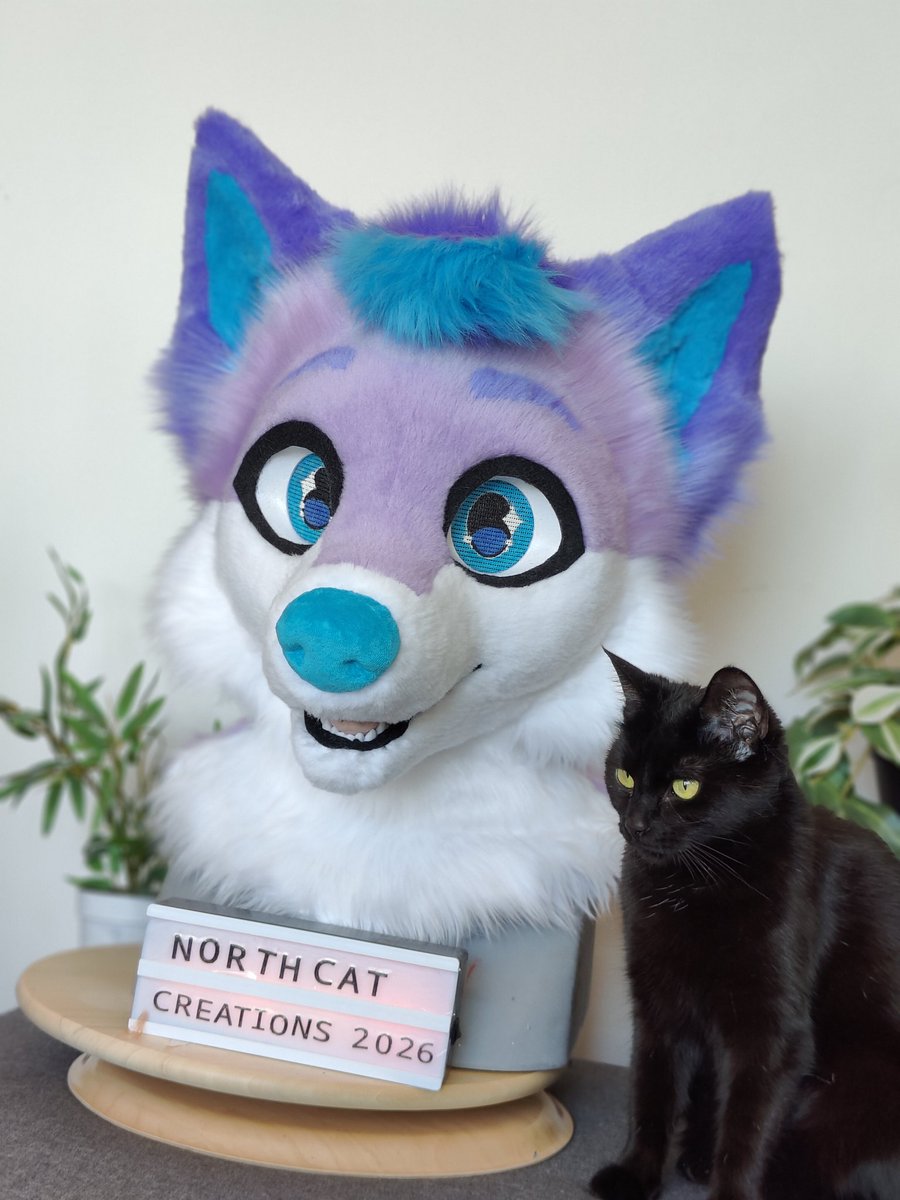 🌿NorthCat🐈 Creations tweet media
