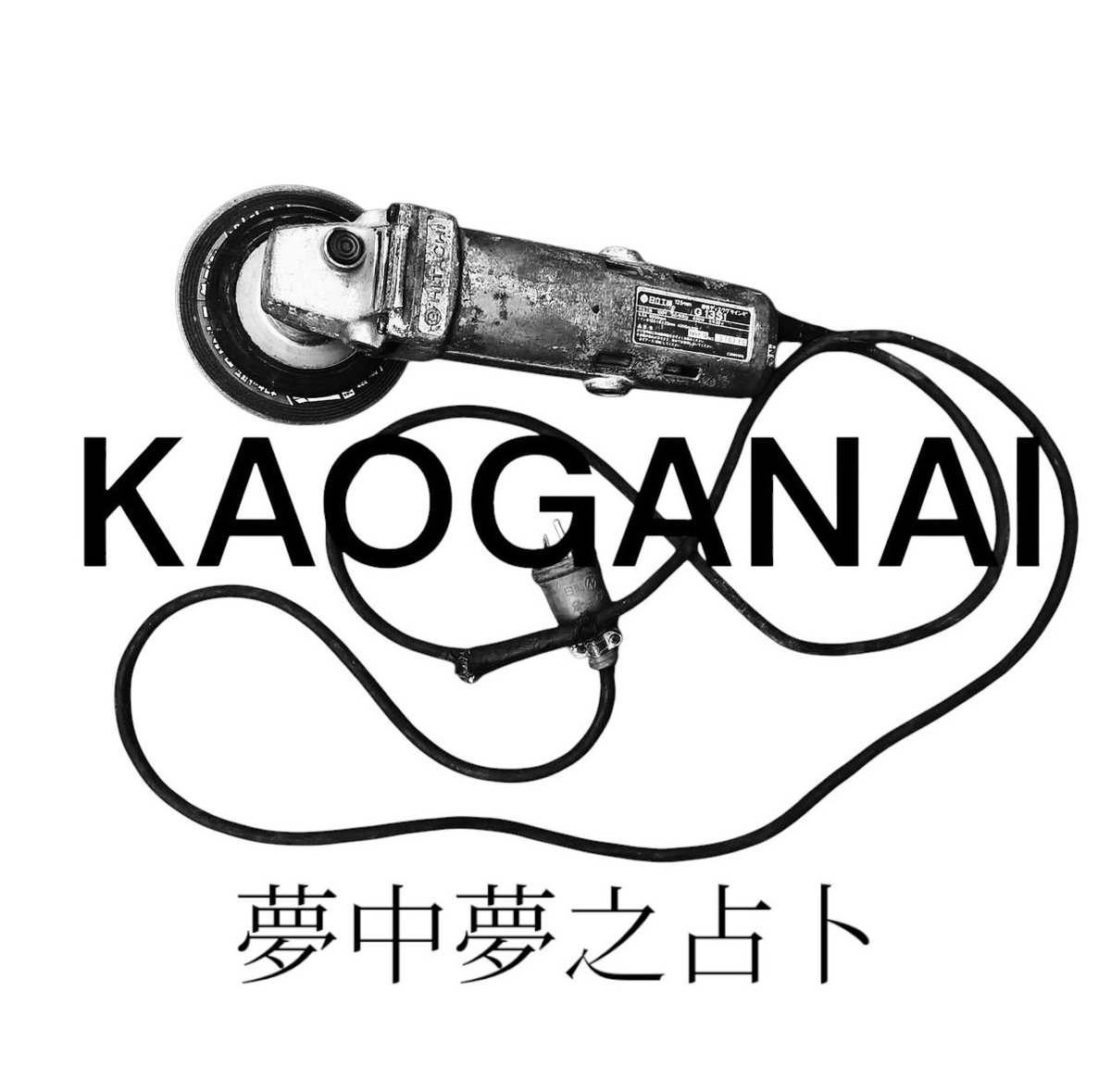 KAOGANAI(顔がない) tweet media
