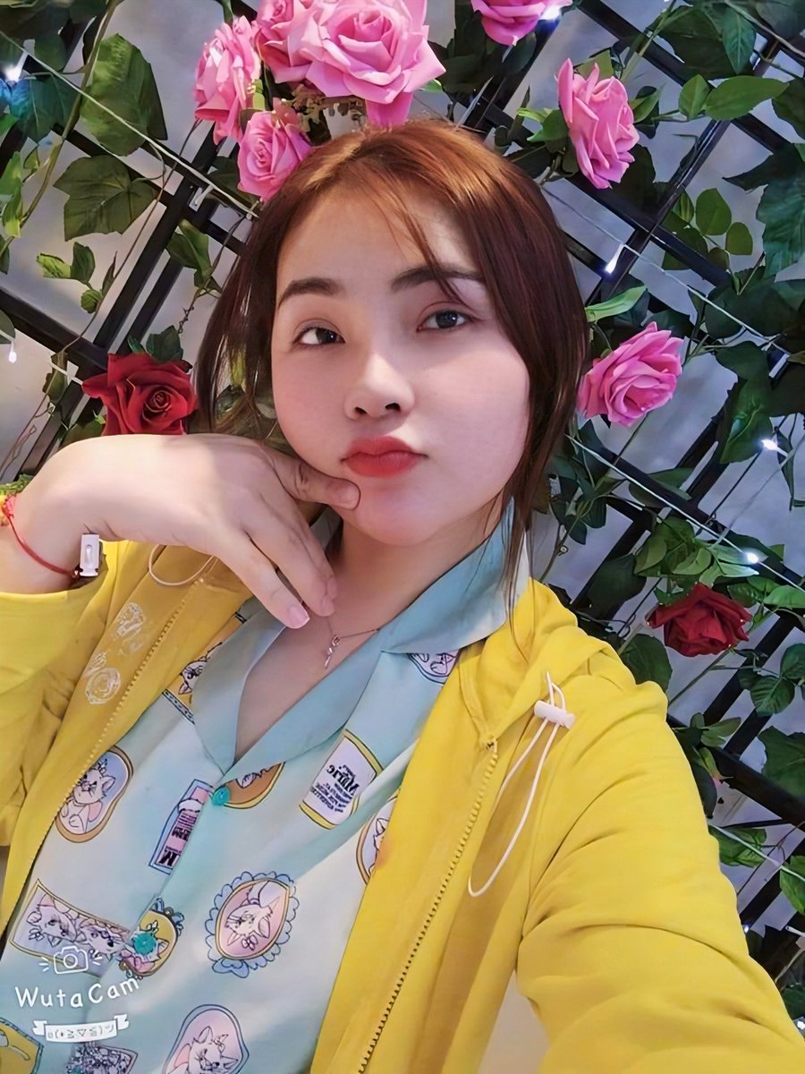 Đỗ Hà My tweet media