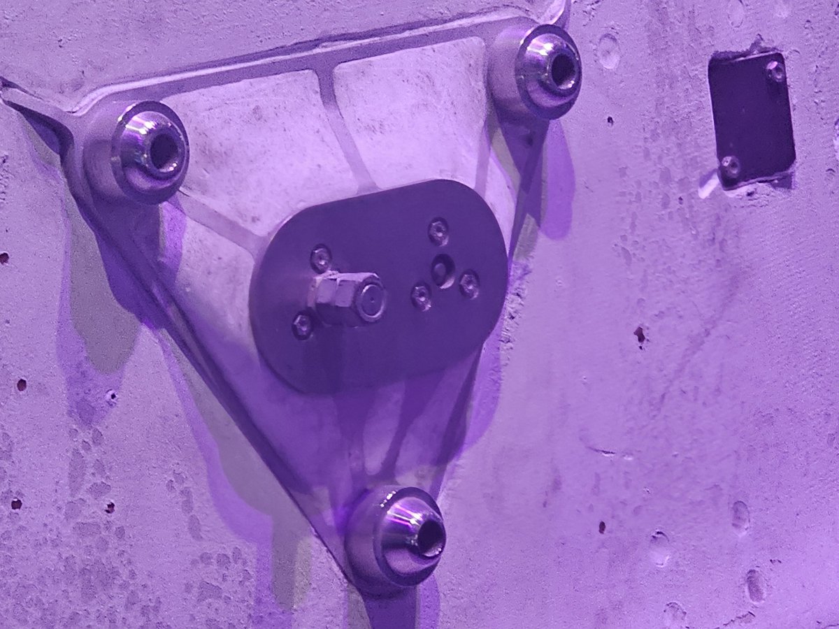 Rosa the Riveter 💪🛠🔩 tweet media