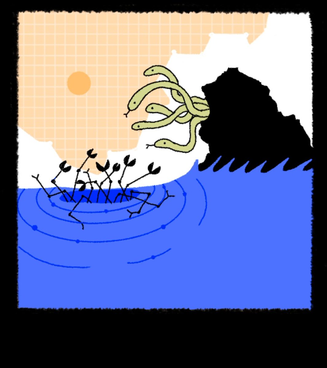 mandi_bul tweet media