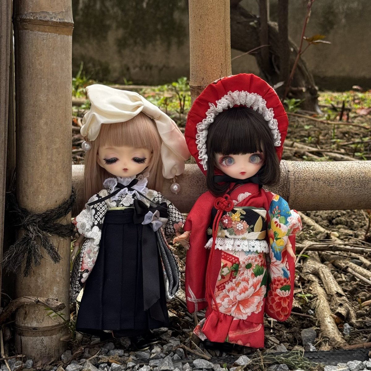 花は写ってないけどなんか良い感じに撮れました
#harmoniabloom