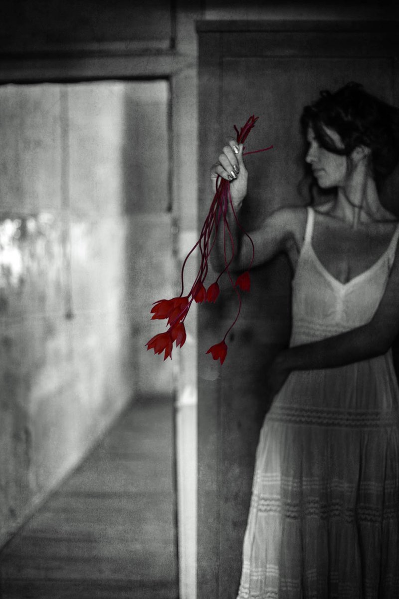 PadureManor tweet media