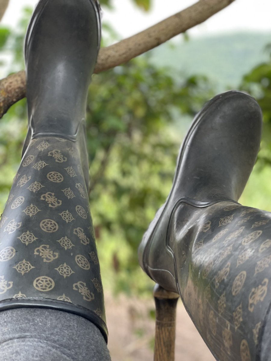 kanko kalonji nicole tweet media