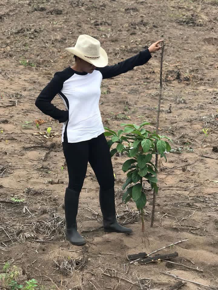 kanko kalonji nicole tweet media