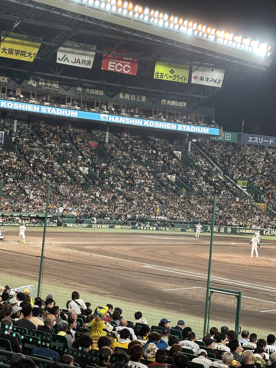 うまちゃん tweet media