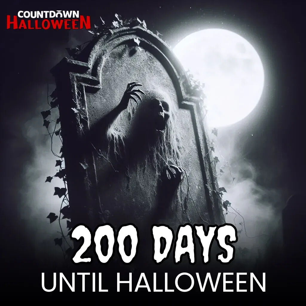 halloween_clock's tweet photo. 200 MORE DAYS BEFORE #HALLOWEEN!
🕒 https://t.co/LcerBCBciy 🎃👻 https://t.co/lfb69z2IW5