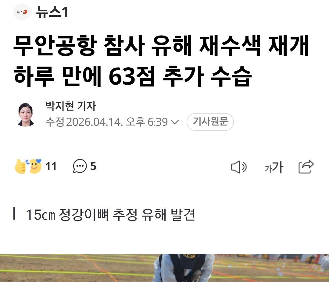 김여래 tweet media