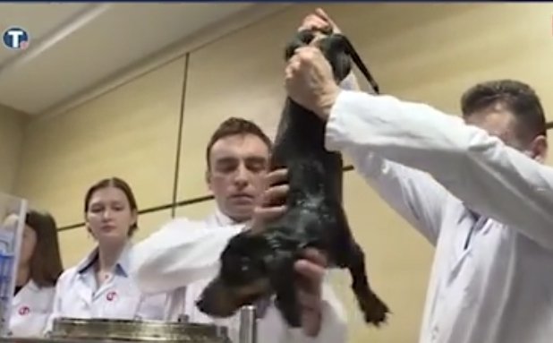 Biljana Lukić tweet media