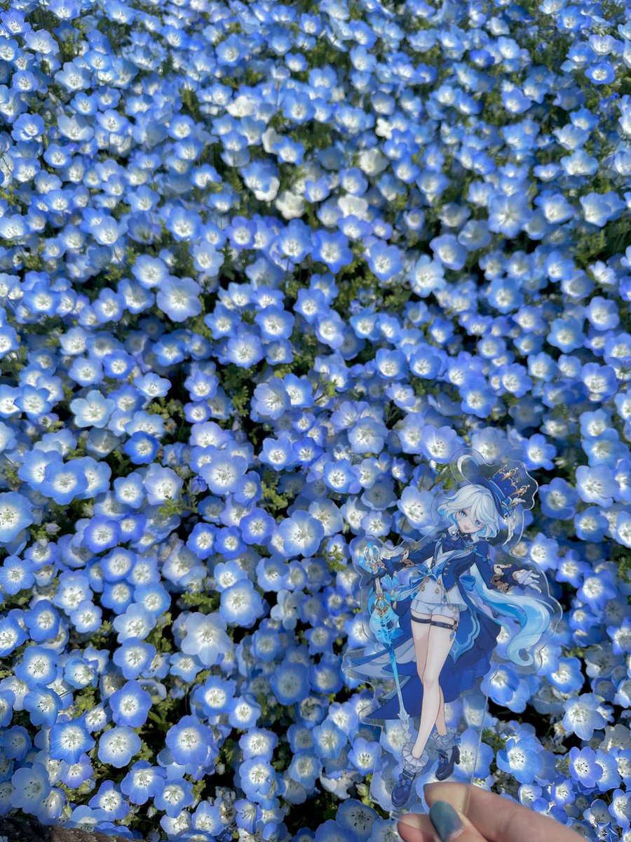 塩野 tweet media