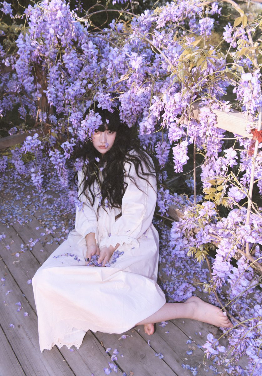 西游朽 tweet media