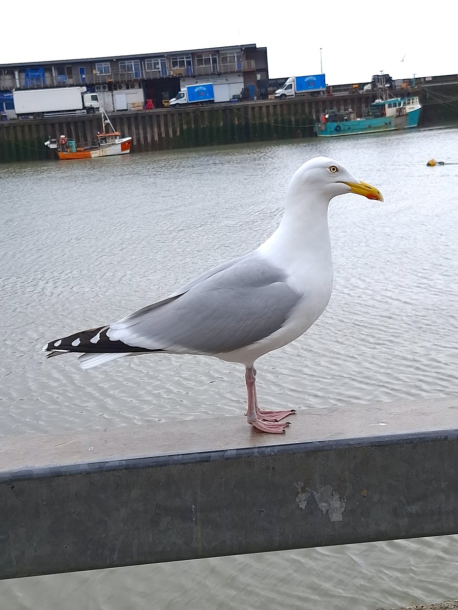 Lee Broughton tweet media