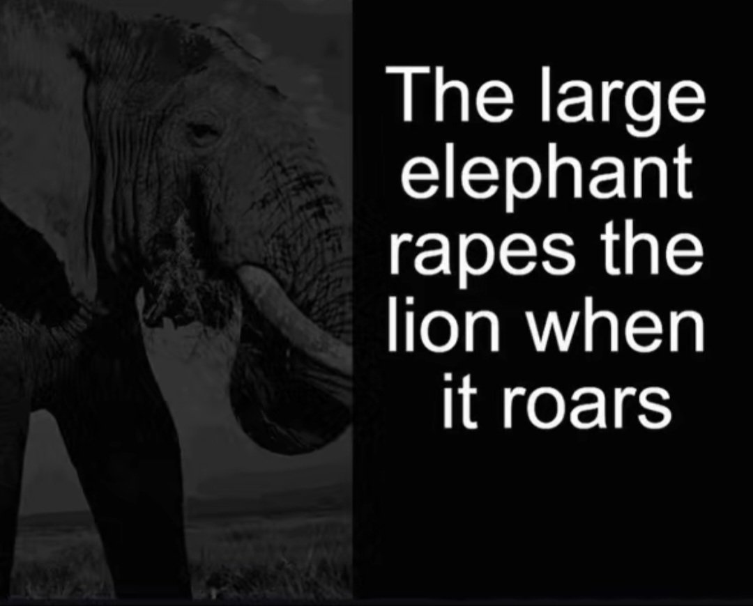 LesothoanPatriot 🇱🇸 tweet media