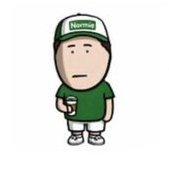 The Normie Project tweet media