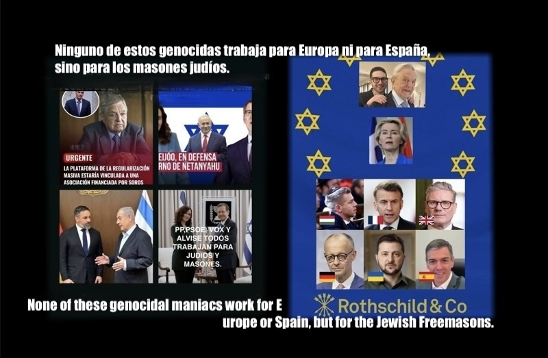 Por 🇪🇸 tweet media