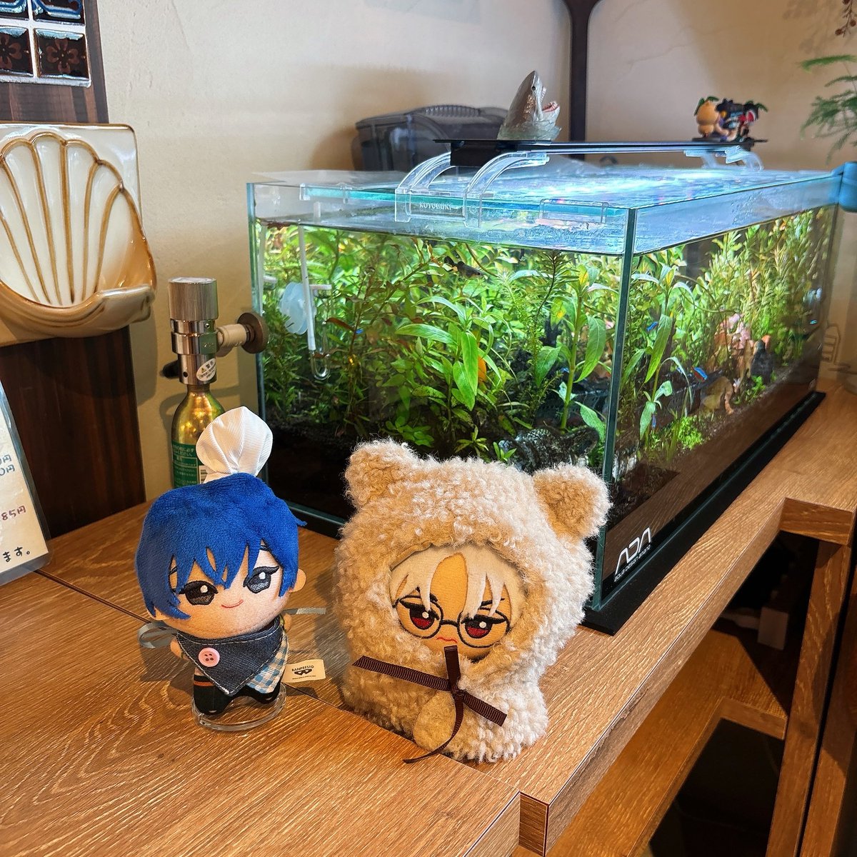 文鳥さんちのりかぬくん tweet media