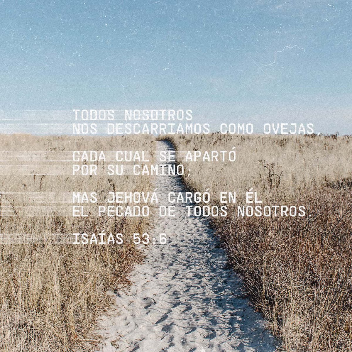 “Todos nosotros nos descarriamos como ovejas, cada cual se apartó por su camino; mas Jehová cargó en él el pecado de todos nosotros.”
Isaías 53:6 RVR95
bible.com/bible/150/isa.…