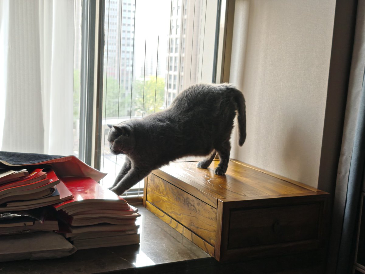 3222号工具人 tweet media