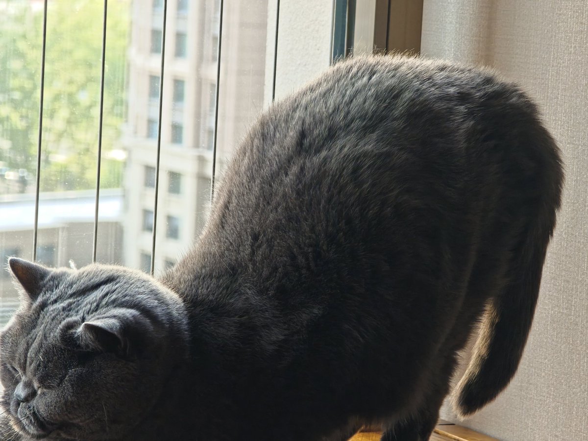 3222号工具人 tweet media