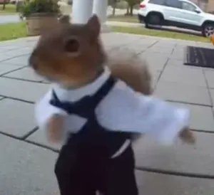 Lui16lui2's tweet image. 🚨 Trending 🚨

📈 FDV 5MIN 💹 +$42.1K(+134.4%) 
🏆 - $BELKA
👑 - CtqWHQZsct9nSNmz2K4J9kXMEZv484M2SNoDpWGYpump
💪 𝐌𝐜𝐚𝐩 - 73.2K
🎯 TOP CALL 👉👉 OKAI.HK/ALpha ⬅️
🔃- Enter a token instantly at launch or migration -🔃