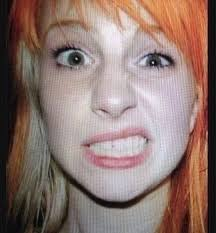 Mountain man tweet media