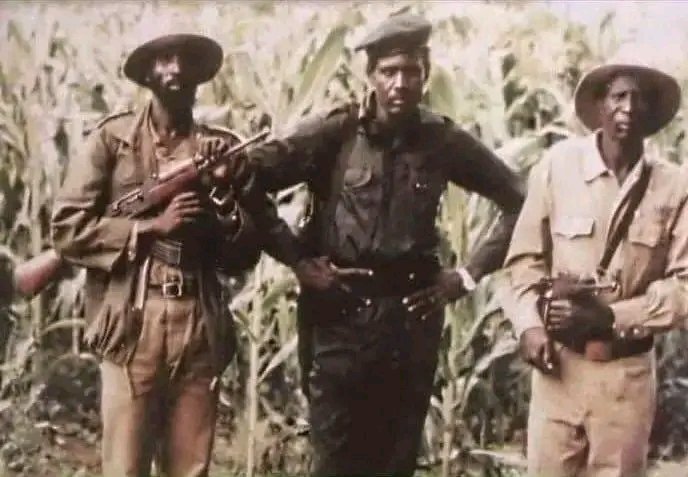 Lincole senior🇸🇸🇷🇴 tweet media