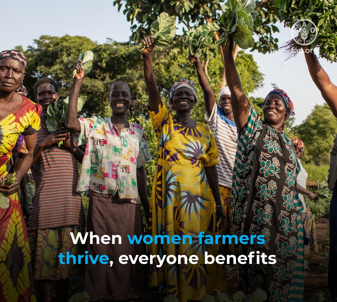 FAOAfrica's tweet photo. 🌍Tomorrow at #ARC34: Inauguration of the #YearOfTheWomanFarmer in Africa and presentation of fresh data on the status of women in agrifood systems in the region 👩🌾🥬🐟🐝
Follow online: https://t.co/WAPafPWrrB
.
#LetsGrowEquality #IYWF2026 https://t.co/PQXaibYeD1
